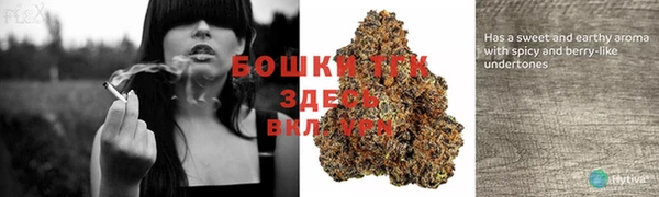 ешки Новодвинск