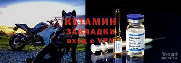 ешки Новодвинск