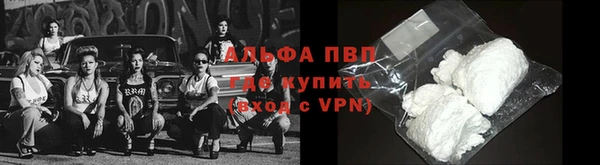 ешки Новодвинск