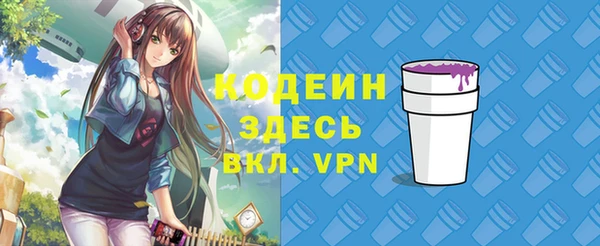 сатива Беслан