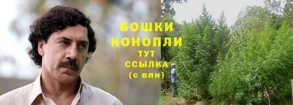 ешки Новодвинск