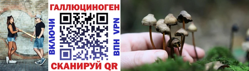 Псилоцибиновые грибы Psilocybe цены сайты даркнета Telegram Переславль-Залесский